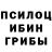 Псилоцибиновые грибы MAGIC MUSHROOMS Vita Serbova