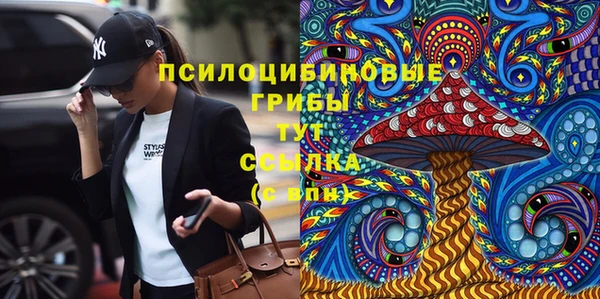 альфа пвп Белокуриха