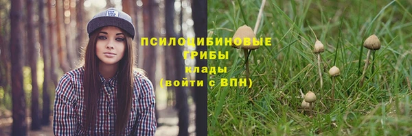 альфа пвп Белокуриха