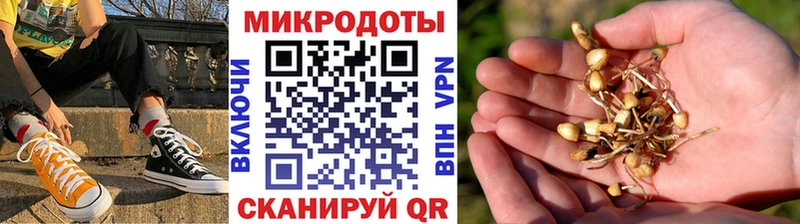 Псилоцибиновые грибы Psilocybine cubensis  mega ссылки  Горняк 